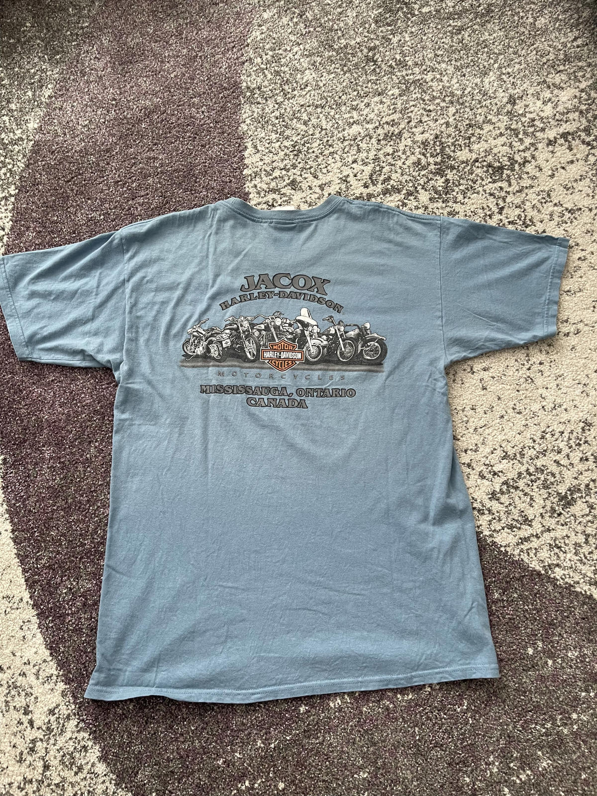 Vintage Harley-Davidson Tribal Logo Tee – Steel Blue Fade