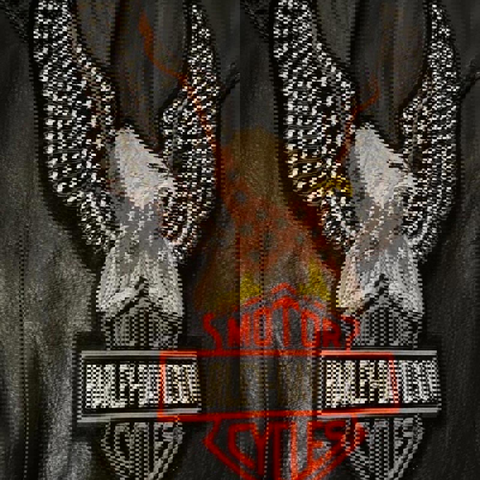 Vintage Harley-Davidson Leather Vest — Embroidered Back Logo